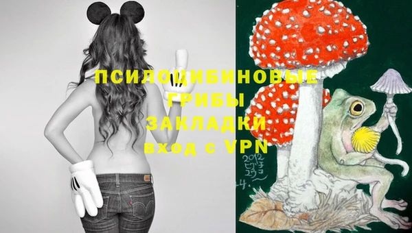 спиды Верхний Тагил